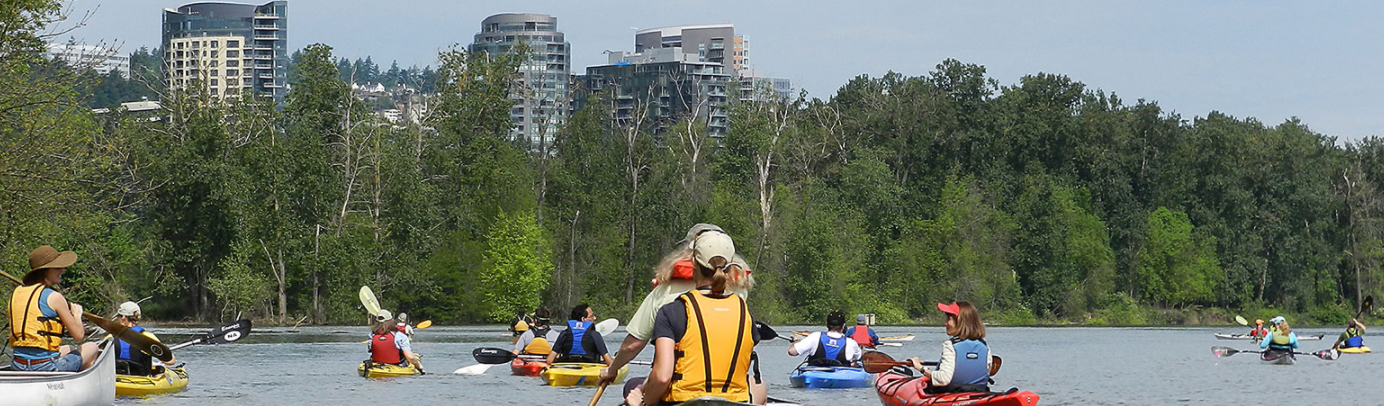 Paddling on the Willamette