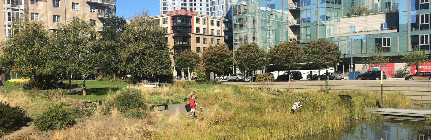 Urban Green Spaces Walking
